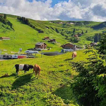 Les Rhodos 1 * Les Crosets