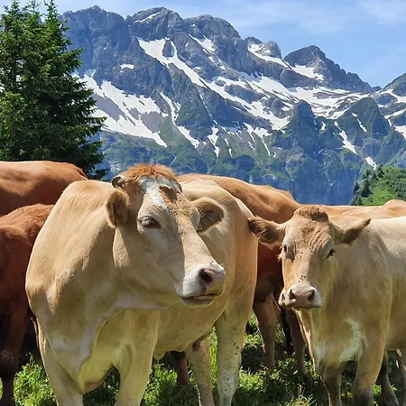 Les Rhodos 1 Appartement Les Crosets