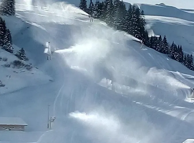 Appartement Les Rhodos 1 Les Crosets