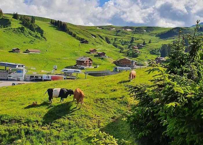 Les Rhodos 1 * Les Crosets